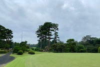 IMG_4642.jpg