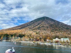 IMG_7353.jpg