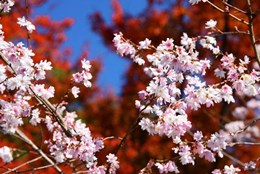 11_13_matuane.jpg