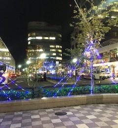 11_6_jimu_2.jpg