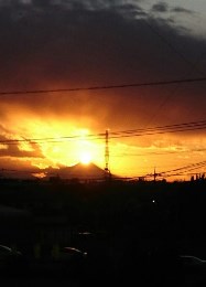 12_18_yano_2.jpg