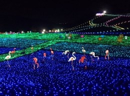 12_19_kato_2.jpg