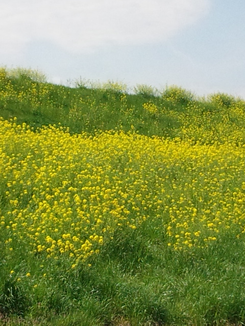 160411_104727.jpg