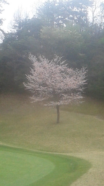 160418_102939.jpg