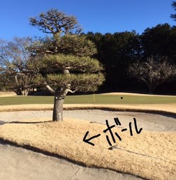 1_30_osawa_2.jpg