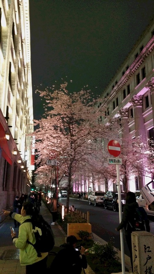 20160402_194453.jpg