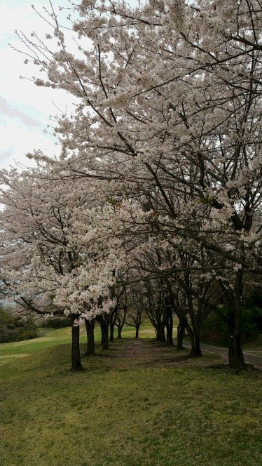 20160408_124022.jpg