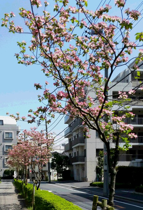 20160419_125040-2.jpg