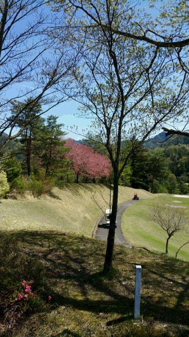 20160422_102616.jpg