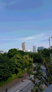 2016_6_14_niimi2.jpg
