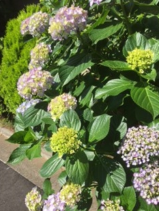 2016y06m03d_144334097.jpg