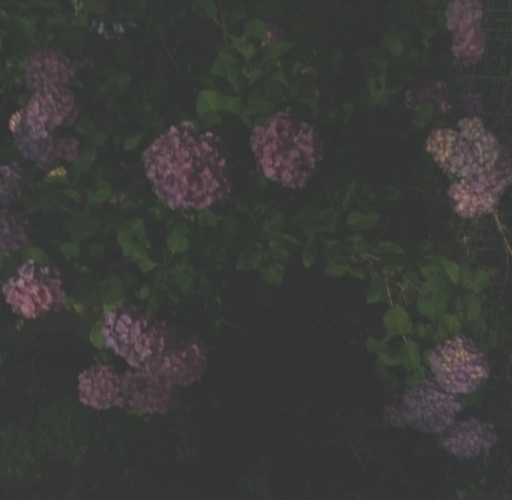 2016y06m16d_222227272.jpg