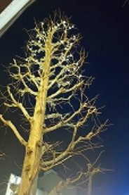 2017y03m20d_095244943.jpg