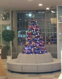 2018_12_24_sato_2.jpg