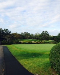 2018_12_3_tomizawa.jpg