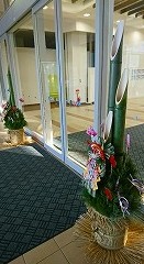 2018y01m08d_153522984.jpg