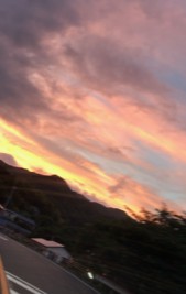 2018y09m02d_172325863.jpg