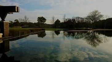 2018y12m24d_115937410.jpg