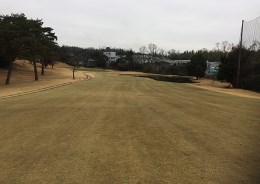 2019_2_11_tomizawa.jpg