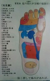 2019_2_18_yosimura_2.jpg