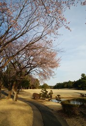 2019_3_18_natori_2.jpg
