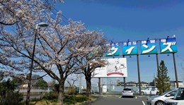 2019_4_1_syuto.jpg