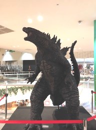 2019_5_20_suda_2.jpg