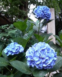 2019_6_10_hotta_2.jpg