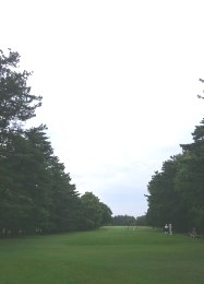 2019_6_17_sato.jpg