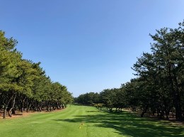 2019_7_1_osawa.jpg