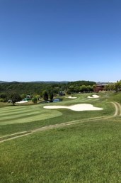 2019_8_5_tomizawa.jpg