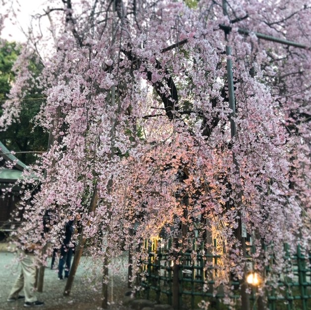 2019y04m14d_165724110.jpg
