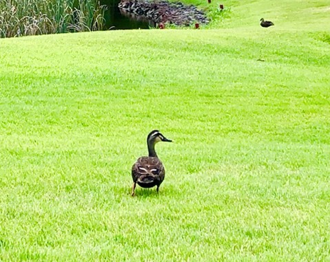 2019y08m14d_175513270.jpg