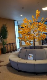 2020_10_5_sato_2.jpg