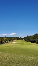 2020_11_16_sato.jpg