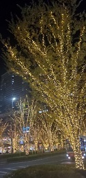 2020_11_23_sato_2.jpg