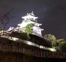 2020_11_30_osawa_2.jpg