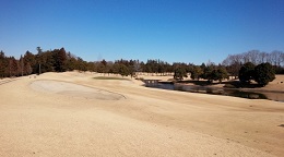 2020_12_7_yajima.jpg