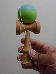 2020_3_9_yano_2.jpg