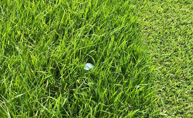 2020y08m14d_171006272.jpg