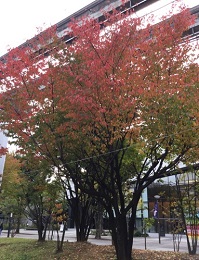 2021_11_22_yajima.jpg