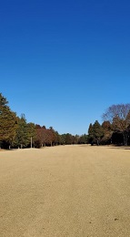 2021_3_1_sato.jpg