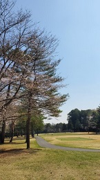 2021_4_5_sato.jpg