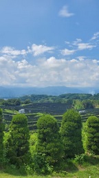 2021_8_2_sato_2.jpg