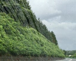 2_20_iwama.jpg