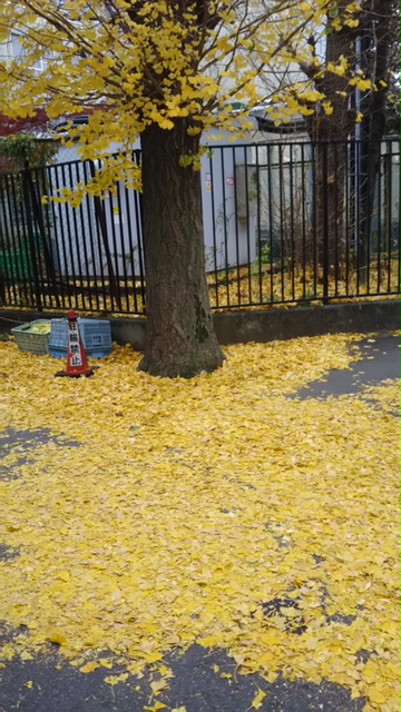 4545643543465.jpg