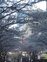 4_2_yajima_2.jpg