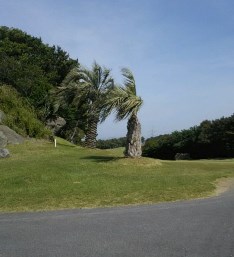 5_8_yosimura.jpg