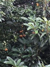 7_10_wakesu_2.jpg