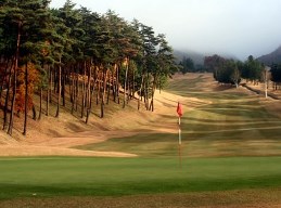 7_23_yajima.jpg